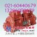 供应韩国液压泵配件-球铰-九孔板-配流盘-提升器配件
