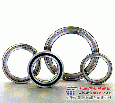 FAG ZSL192310轴承