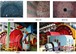 供应郑州耐材球磨机型号|实验室用球磨机13838094369