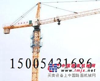 供应山东邹平5008塔吊