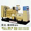 中国通柴系列柴油发电机组