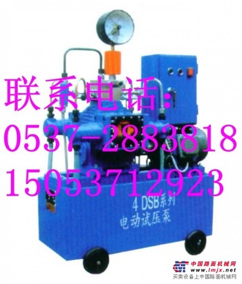 供应优质4DSB电动试压泵  