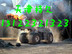 供应轮式挖掘机轮胎保护链，加密轮胎保护链