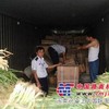 供应绿色通道检测仪高速公路收费站偷逃通行费混装车检测仪