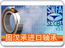 供应SNFA 7202AC轴承