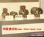 扭转作动器