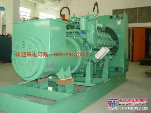 高品质，性能稳柴油发电机组022-24132833