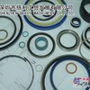 进口KASTAS密封件