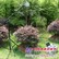 供应TOP-1200植物冠层分析仪产品性能分析