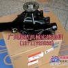 供应康明斯A2300发动机油泵4901216