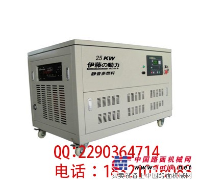 供应25kw汽油发电机组 液化气发电机组 上海发电组