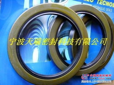 TB型骨架油封|宁波天芮供应