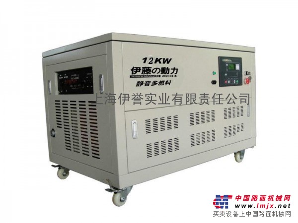 供應12KW多燃料發電機/12千瓦汽油發電機資料