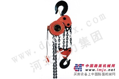 DHP环链电动葫芦|保定大力电动葫芦价格