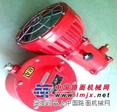 供应DGC175投光灯，贴牌DGC175/127B隔爆投光灯