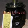 A10SO100DR柱塞泵