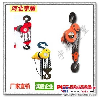 群吊环链电动葫芦-宇雕一次投入多次回报