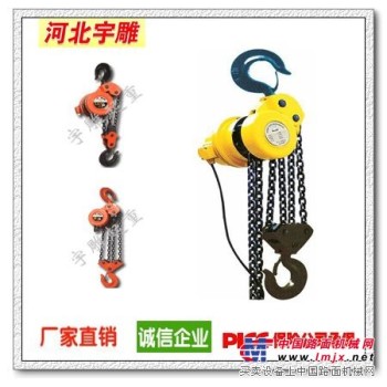 爬架环链电动葫芦|高品质群吊葫芦宇雕制造