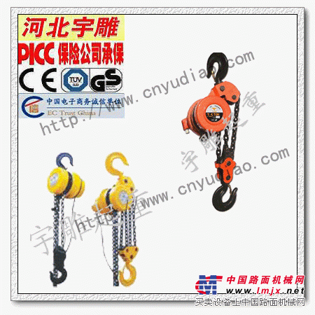 油罐吊装环链电动提升机价格（DHP环链电动葫芦）型号|厂家