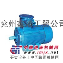 供应YB2D系列隔爆型变极多速三相异步电动机