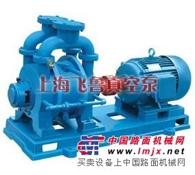 水环真空泵sk型-上海飞鲁真空泵厂www.021vp.com