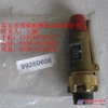 供应登福GD安全阀90AR909润滑油QX100108