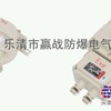BQC系列防爆磁力起动器（IIB、IIC、DIP）
