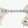 BXM(D)系列防爆照明(动力)配电箱