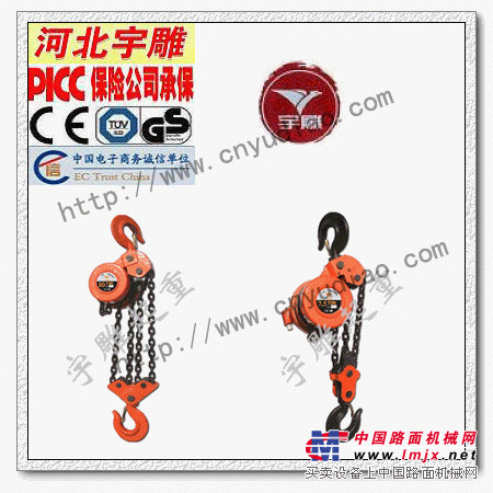 求购DHY型环链电动葫芦DHP型环链电动葫芦爬架专用提升机