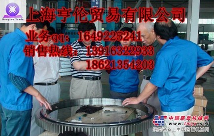 挖掘机大齿圈，挖土机大齿圈，挖机大齿圈，钩机大齿圈/大转盘