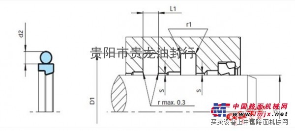 格莱圈/斯特封/导向带