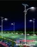 厦门市路明安市政工程有限公司 LED路灯柱