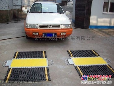 供应无线便携式称重仪，性能卓越稳定可靠