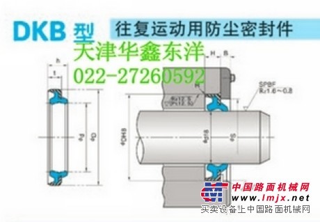 DKB往复运动铁壳AR3187G密封件AR3596G防尘件