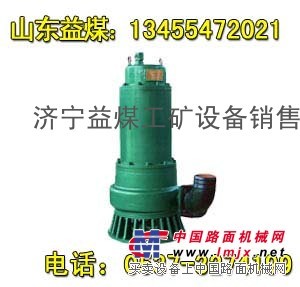 BQS防爆排沙排污泵 BQS污水泵 潜水污水泵