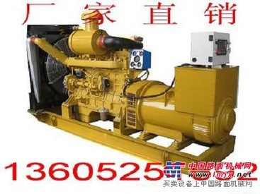 G128ZLD1上柴250KW柴油发电机组