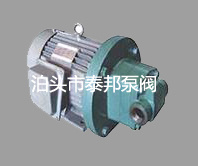 供應RYB15-0.6壓縮機軸頭泵,齒輪泵KCB300