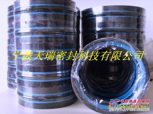 供应DKB GA骨架防尘圈|组合垫机械密封圈