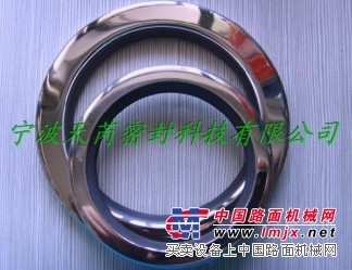 供应防尘圈|宁波天芮供应商|进口骨架油封
