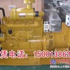 　【低价】河北任丘市静音发电机租赁 发电机维修