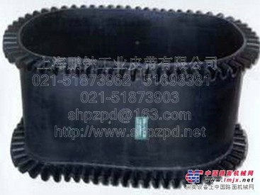 供应电子秤裙边皮带优质品牌信赖鹏钟