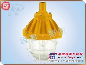 免维护防爆无极灯GTBG8100AB直销防爆无极灯 防爆灯具
