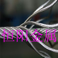 供应国产宝钢201,304,316不锈钢钢丝绳