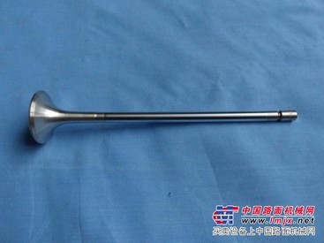 供应沃尔沃VOLVO挖掘机原装进口配件发动机气门