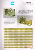 石家庄康明斯发电机组厂家专供13623111986