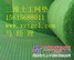 河南三维植被网|三维土工网|塑料三维网，贺岁兴泽提供