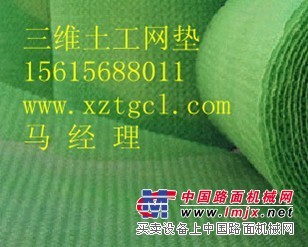 金蛇贺岁：兴泽-河南【三维固土网垫|三维绿化网垫】
