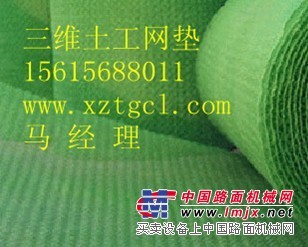 信阳(护坡土工网-高强度土工网）价格质量有保证