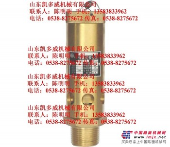 原装登福GD安全阀89728559、89812179、联轴器