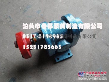 KCB-135KCB齿轮泵 无腐蚀性、零泄漏